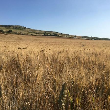 Gibbesi Country Farm Piccolo Cottage Naro Buitenkant foto