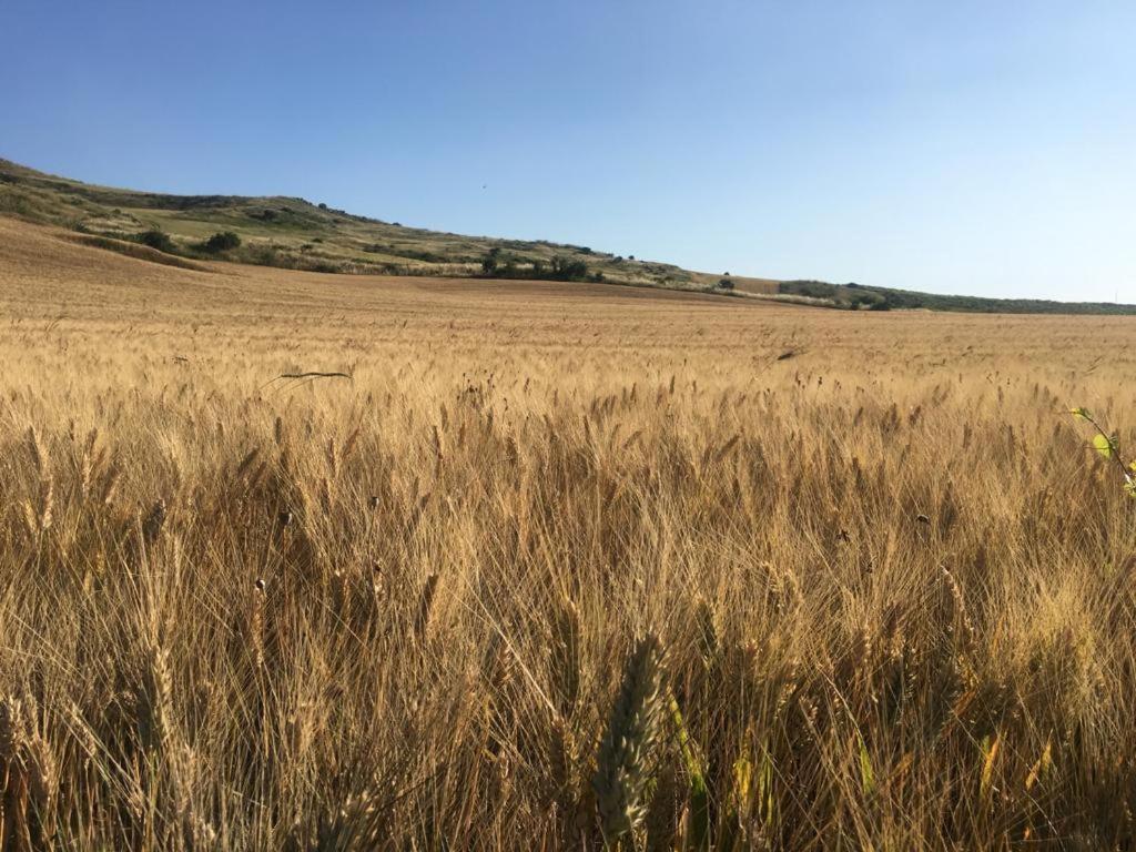 Gibbesi Country Farm Piccolo Cottage Naro Buitenkant foto